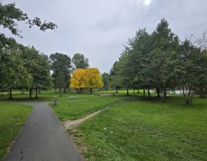 Balade à Châteauroux et au parc Daniel Bernardet - Delphine - 3