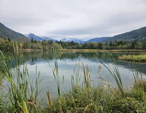 Boscircuit bij Lac des Vernays - Yoann - 2