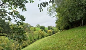 Prendre le temps de se faire plaisir à Souleuvre en Bocage - Lydie - 2