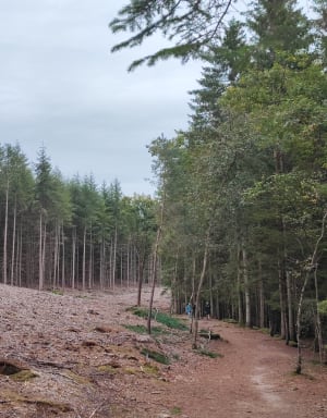 Balade dans le Morvan - Fortune - 5