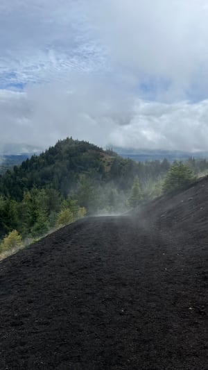 Dans les Puys de la Vache et Lassolas et terres volcaniques - Aydat - 6