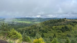Dans les Puys de la Vache et Lassolas et terres volcaniques - Aydat - 7