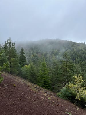 Dans les Puys de la Vache et Lassolas et terres volcaniques - Aydat - 5