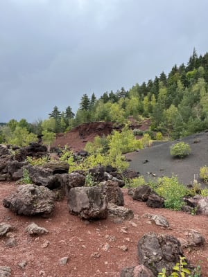 Dans les Puys de la Vache et Lassolas et terres volcaniques - Aydat - 9