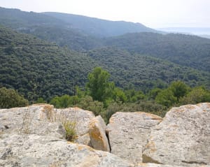 Autour de la Roque sur Pernes - Aline - 6