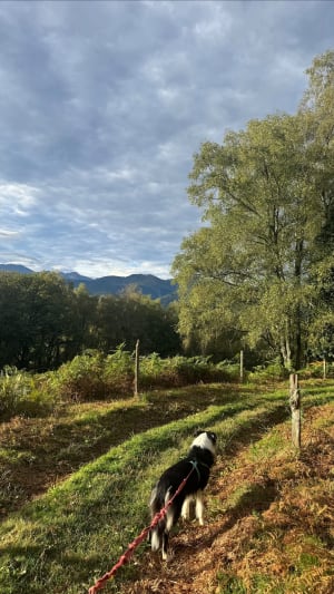 Le camp de César, autour de Bagnères - Pouzac - 8