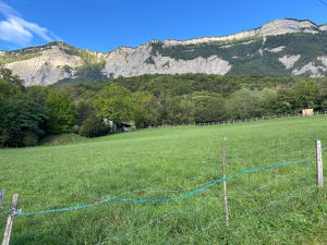 St-Ismier, Bernin et St-Nazaire-les-Eymes - ANNE - 5