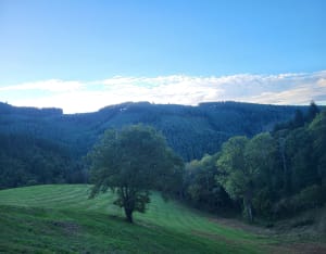 Les hauts de Claveisolles - Fabrice - 3