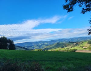 Les hauts de Claveisolles - Fabrice - 6