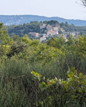 Sympathique boucle entre Saint Didier et le Beaucet - Mylene - 8