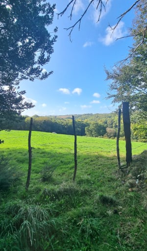 Balade de Ty Guen par la Pennélé - Clémence - 3