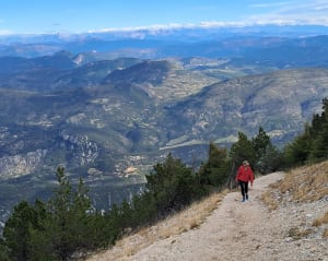 Balade autour du Mont Ventoux - Patrick - 4
