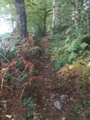 La Rosière des Vosges, entre fort et forêt - Nono - 4