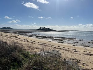 L'île aux Moines - Grégoire - 6