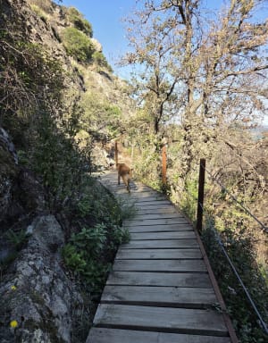 Balcon et cascade de Céret - Pauline - 3