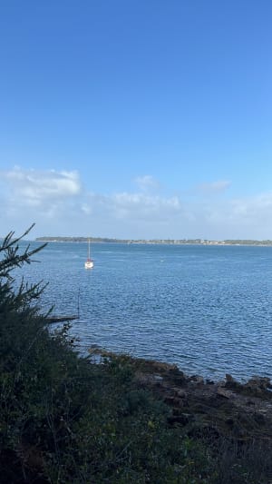 L'île aux Moines - Grégoire - 3