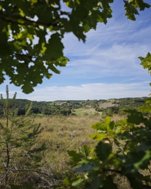 À travers la Campagne Dordognaise depuis Saint-Astier - Faustin - 5