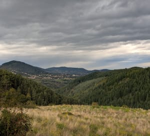 Roiffieux de Plat de la Chaux, par Lemps - olivier - 6