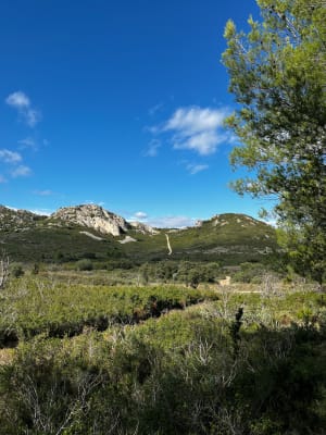 Petite promenade à Aramon et Bories - Lucile - 4