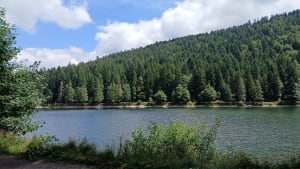 Lac des corbeaux et son belvédère - La Bresse - 4