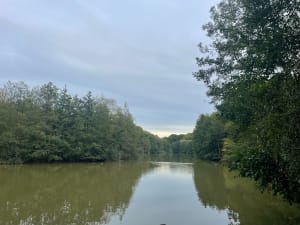 A la rencontre des êtres de la forêt de Clairmarais - Marie - 10