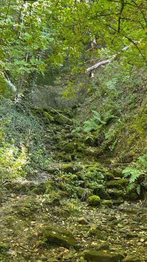 Balade à Vitrey, par Etreval et Ognéville - Oceane - 2