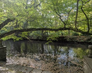 Balade au Fil de l'eau à Rennes - jacky - 4