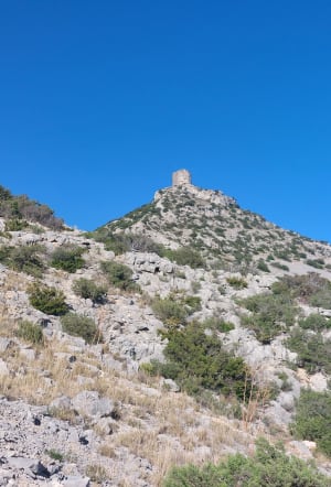 Sentier de la Torre Del Far ou de Tautavel - Cases-de-Pène - 7