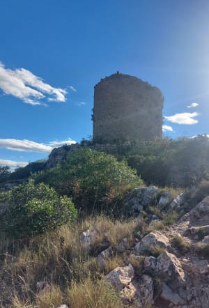 Sentier de la Torre Del Far ou de Tautavel - Cases-de-Pène - 6