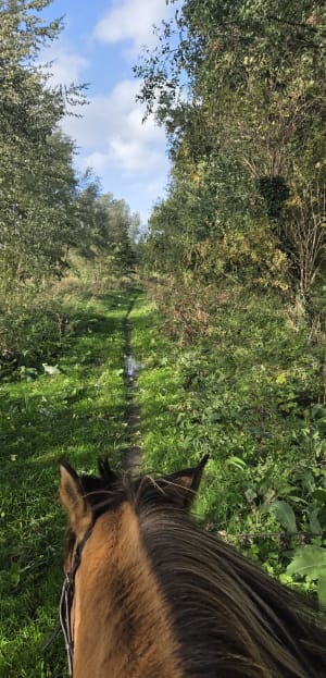 Entre Bellaing et Haveluy et rencontres aquatiques - Eva - 4