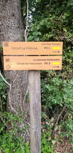Randonnée  de la Vinouze - Sylvie - 5