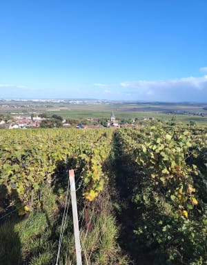 Balade panoramique Chapelle Saint-Lié - Clémence - 9