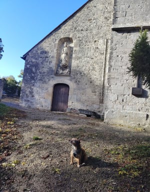 Balade panoramique Chapelle Saint-Lié - Clémence - 6