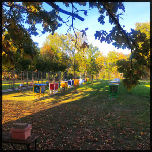 Park przy sggw - Anita - 3
