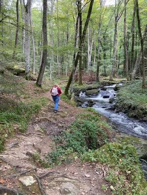 Balade ombragée le long de la rivière Alzeau - Lydie - 5