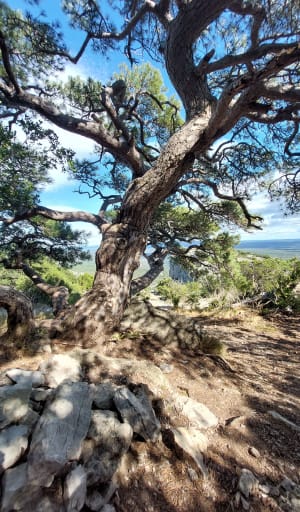 Le cirque de l'Infernet par la boucle des Fenestrettes - Saint-Guilhem-le-Désert - 8