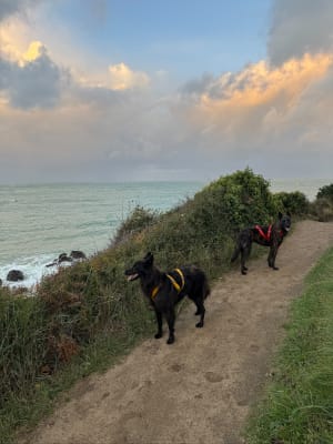 Promenade du papillon entre campagne et sentier côtier à Saint Lunaire - Emilie - 6