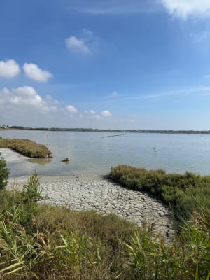 Découvrir Villeneuve les Maguelone et ses salins d’exception - Villeneuve lès Maguelone - 3