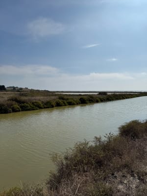 Découvrir Villeneuve les Maguelone et ses salins d’exception - Villeneuve lès Maguelone - 5