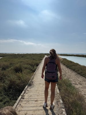 Découvrir Villeneuve les Maguelone et ses salins d’exception - Villeneuve lès Maguelone - 6