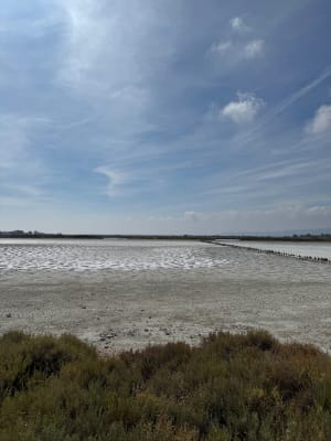 Découvrir Villeneuve les Maguelone et ses salins d’exception - Villeneuve lès Maguelone - 4