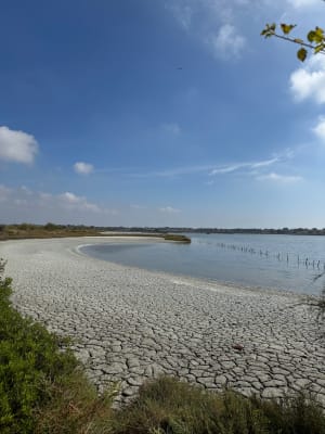 Découvrir Villeneuve les Maguelone et ses salins d’exception - Villeneuve lès Maguelone - 7