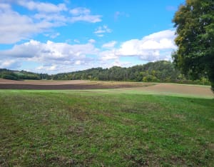 Belle balade en forêt - François - 4