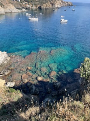 Sentier de Port-Vendres et paysages colorés et lumineux - Aline  - 4