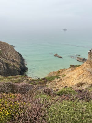 Petit tour du cap de la chèvre - Crozon - 41