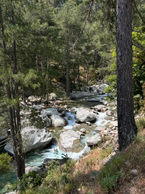 Rando dans la vallée de la Restonica - Anaelle - 15