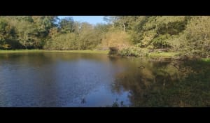 Dans la forêt entre Cussey sur l'Ognon et gare TGV Besançon - LAURENCE - 7