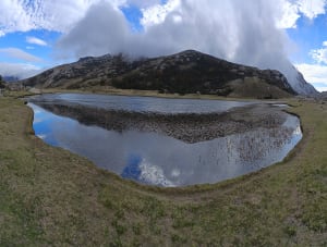 Splendeurs du lac de Nino, chevaux sauvages et herbe verte - Bastien - 4