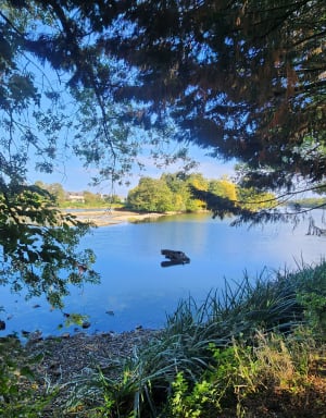 Promenade le long de la Sarthe - Stéphanie - 3