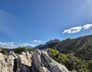 Les dentelles à Gigondas - Corinne - 4